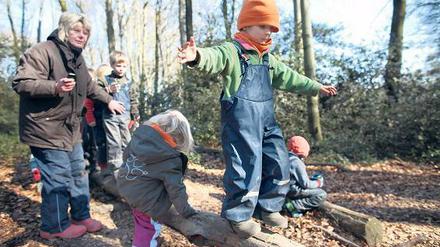 Spielend den Wald erkunden. Für die Betreuung von Kleinkindern in freier Natur ist Expertise gefragt. Die Nachfrage nach Fortbildungen für angehende Waldkindergärtner ist hoch.