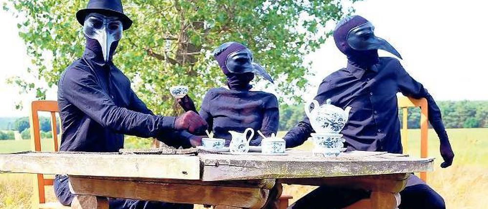 Die Musik zeigen, nicht das Gesicht. A Band of Crickets.