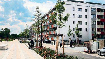 Das Pilotprojekt Gartenstadt Drewitz ist im vergangenen Jahr erfolgreich abgeschlossen worden. Jetzt will die Bauholding Pro Potsdam die sogenannte Rolle sanieren.