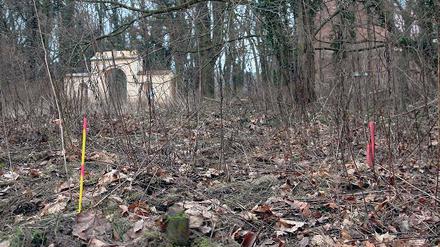 Bauantrag gestellt. Das Baufeld für den Neubau ist schon abgesteckt.