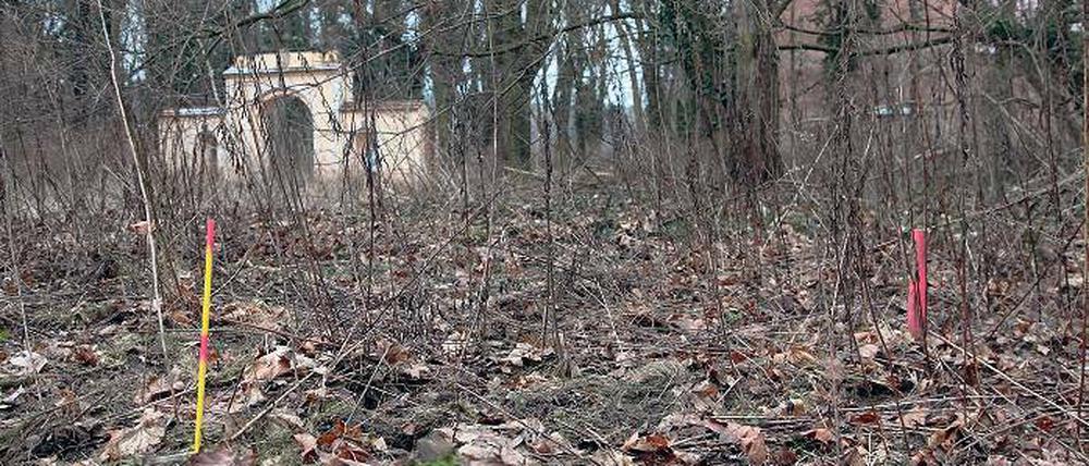 Bauantrag gestellt. Das Baufeld für den Neubau ist schon abgesteckt.