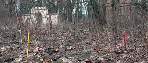 Bauantrag gestellt. Das Baufeld für den Neubau ist schon abgesteckt.