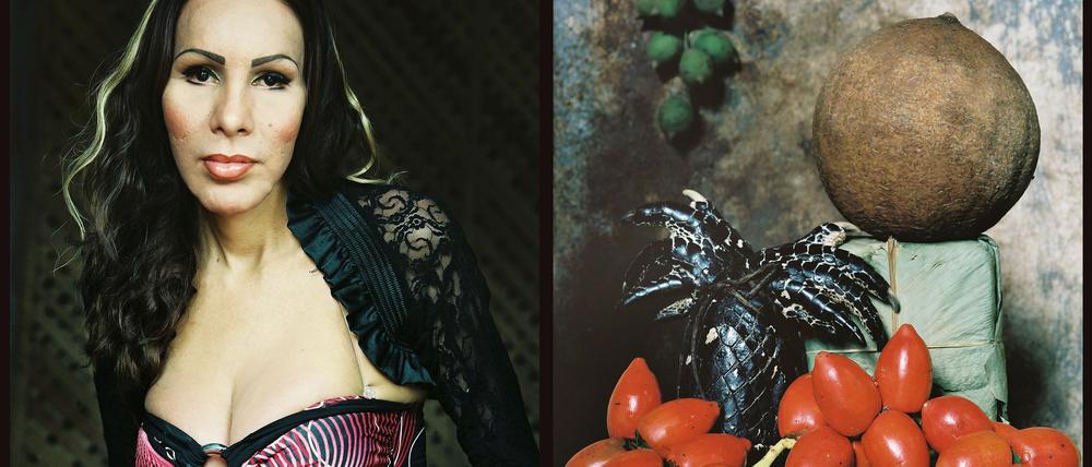 Der Bruch in der Wahrnehmung.Das Diptychon „Alexia Santillan, 30 Jahre; und naturaleza muerta con lagarto negro; Amazonien 2013“.