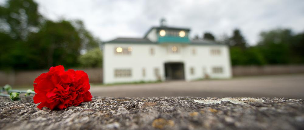 Eine Nelke liegt vor dem Lagertor des ehemaligen Konzentrationslagers Sachsenhausen.