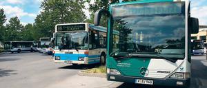 Ein Bus wird kommen. Aber in Babelsberg-Nord nur alle 40 Minuten.