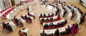 Der Landtag wird am Mittwoch seine Solidarität mit Frankreich bekunden.