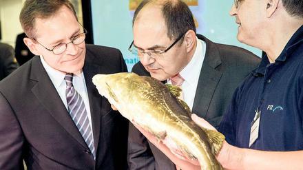 Männer, die auf Fische starren. Berlins neuer Regierender Bürgermeister Michael Müller (links, SPD) und Bundeslandwirtschaftsminister Christian Schmidt (CSU) fehlte noch die Wowereitsche Gelassenheit, die Narreteien der Agrarmesse abzuwehren.
