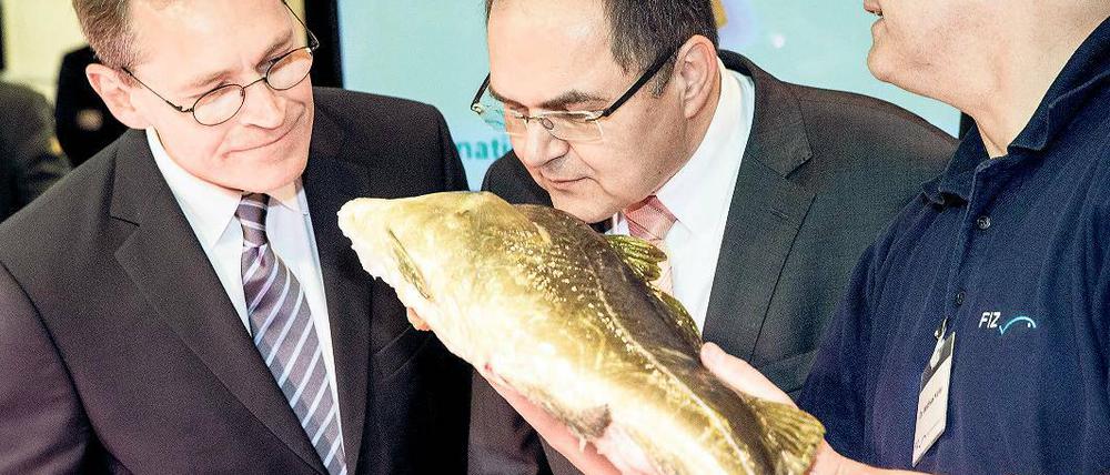 Männer, die auf Fische starren. Berlins neuer Regierender Bürgermeister Michael Müller (links, SPD) und Bundeslandwirtschaftsminister Christian Schmidt (CSU) fehlte noch die Wowereitsche Gelassenheit, die Narreteien der Agrarmesse abzuwehren.