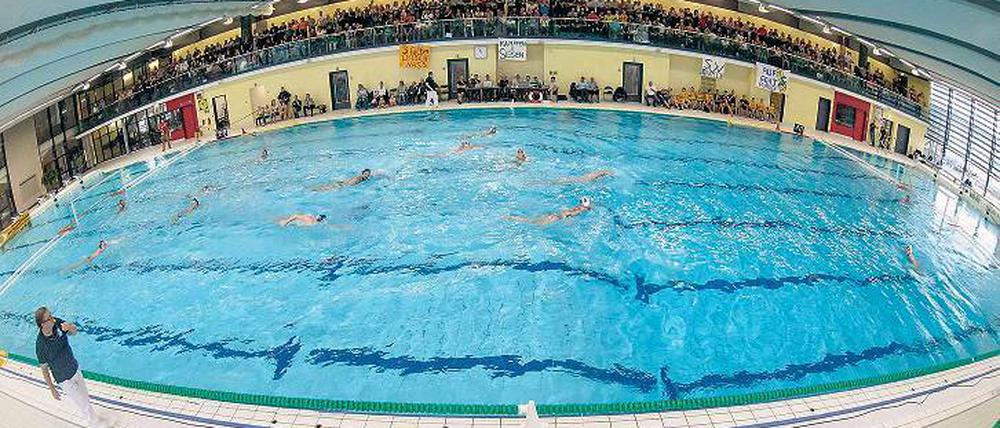 Publikumsmagnet in Plauen. Im Schnitt pilgern fast 500 Fans zu den Heimspielen des SVV Plauen ins Stadtbad und sorgen für eine deutschlandweit einmalige Kulisse beim Wasserball. Für das Spiel gegen den OSC Potsdam wird die Zuschauerkapazität durch den Aufbau einer Zusatztribüne um 250 Plätze auf 750 erhöht.