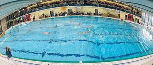 Publikumsmagnet in Plauen. Im Schnitt pilgern fast 500 Fans zu den Heimspielen des SVV Plauen ins Stadtbad und sorgen für eine deutschlandweit einmalige Kulisse beim Wasserball. Für das Spiel gegen den OSC Potsdam wird die Zuschauerkapazität durch den Aufbau einer Zusatztribüne um 250 Plätze auf 750 erhöht.