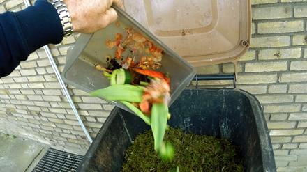 In Potsdam wird die Biotonne bald flächendeckend stehen.