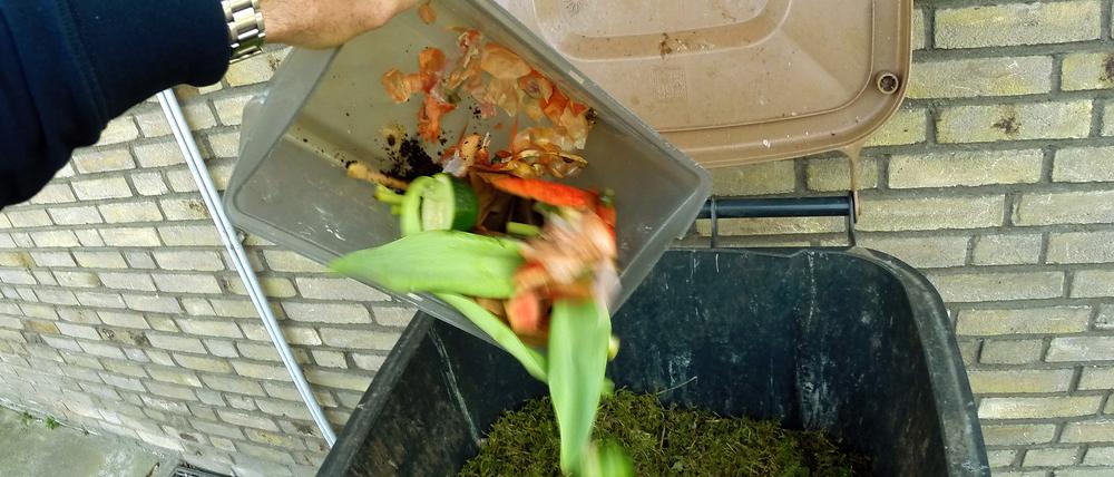 In Potsdam wird die Biotonne bald flächendeckend stehen.