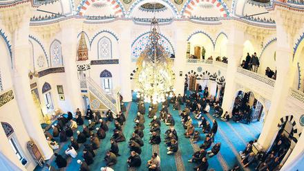Prächtige Kulisse für eine wichtige Botschaft. In der Sehitlik-Moschee am Columbiadamm verurteilte der Imam die Gewalttaten von Paris – die Erklärung wurde auch in vielen anderen muslimischen Gottenhäusern in Deutschland verlesen.