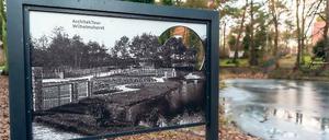 Lang ist’s her. Das historische Foto auf der Informationstafel zeigt, wie es Anfang des letzten Jahrhunderts am Irissee ausgesehen hat. Deutlich wird, dass durch die Rekonstruktion mehrere Bäume abgeholzt werden müssten.