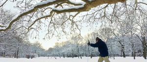 Winterzauber. Berlin war am ersten Werktag nach Weihnachten wie in Watte gepackt. Alle, die das Winterwetter genießen wollten, zog es raus in die Natur, wie hier in den Volkspark Wilmersdorf. Auf dem flachen Brandenburger Land bleibt Schnee länger liegen.