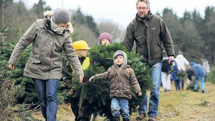 Alle mal einpacken. Ihren Weihnachtsbaum holen sich viele Städter bevorzugt am dritten Adventswochenende.