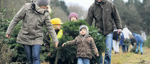 Alle mal einpacken. Ihren Weihnachtsbaum holen sich viele Städter bevorzugt am dritten Adventswochenende.