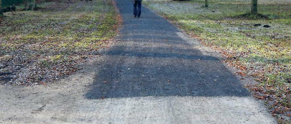 Markanter Übergang. Nur der erste Teil des Gehwegs der Lindenallee zwischen dem Neuen Palais und Golm weist die vom Land vorgegebene Färbung auf. Der größte Teil der zwei Kilometer langen Verbindung im Welterbe ist schwarzgrau.
