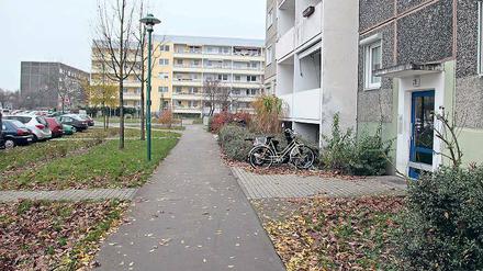 Wer pflegt? Bislang hat jeder Wohnungseigentümer am Schlaatz einen anderen Dienstleister. Das soll sich ändern. Der Zustand von Beeten und Grünanlagen soll sich sichtbar verbessern.