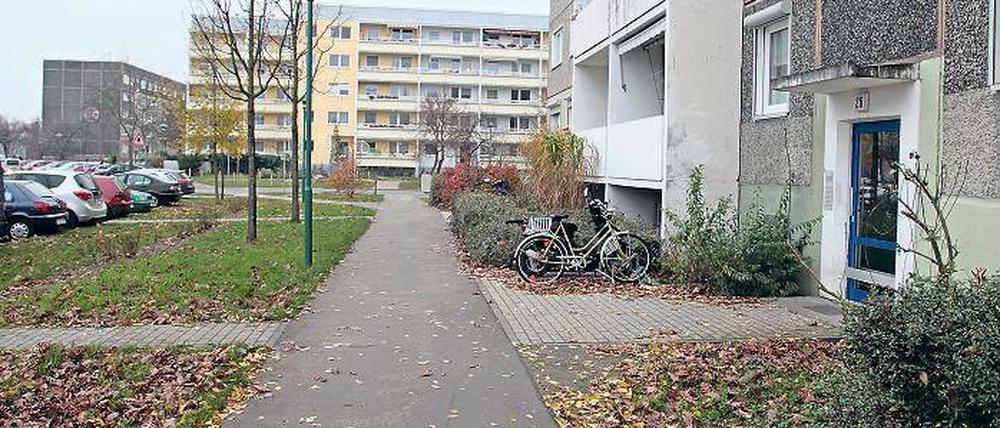 Wer pflegt? Bislang hat jeder Wohnungseigentümer am Schlaatz einen anderen Dienstleister. Das soll sich ändern. Der Zustand von Beeten und Grünanlagen soll sich sichtbar verbessern.