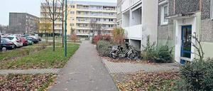 Wer pflegt? Bislang hat jeder Wohnungseigentümer am Schlaatz einen anderen Dienstleister. Das soll sich ändern. Der Zustand von Beeten und Grünanlagen soll sich sichtbar verbessern.