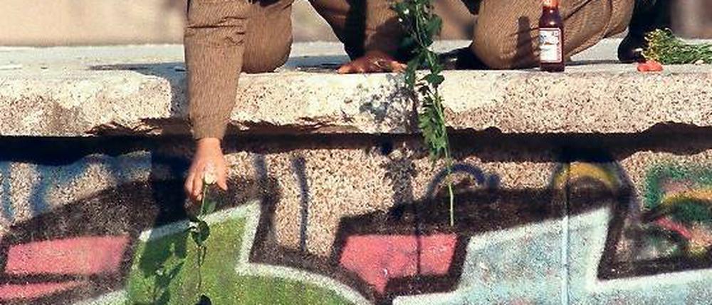 Blickwechsel. Zeithistoriker betrachten nun auch die langfristige Vorgeschichte des Mauerfalls. Auch die Krisenzeit der 1970er- und 80er-Jahre hatte demnach starken Einfluss auf das deutsch-deutsche Verhältnis. Einerseits kam man sich näher, andererseits entstanden neue Differenzen, die auch über 1990 hinaus wirkten.
