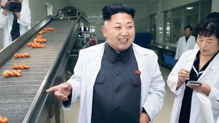 "Kim Jong-Un looking at things", diese Website gehört zu den absoluten Internet-Hits