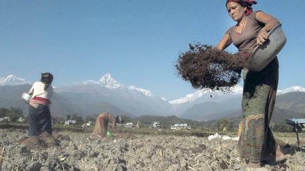 Sagenumwoben. Bis heute ist unklar, wie das Pokhara-Tal entstanden ist.