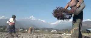 Sagenumwoben. Bis heute ist unklar, wie das Pokhara-Tal entstanden ist.