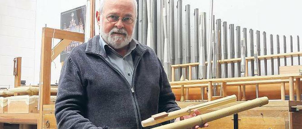 Nicht risikofrei. Aus Bambus hat Matthias Schuke noch nie eine Orgel gebaut. Derzeit erkunden seine Fachleute das Material.