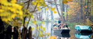 Langer, ruhiger Fluss. Der enorme Gebietszuwachs von Brandenburg ist leider nur virtuell – aber auf den Spreewaldkähnen ist im Spätherbst allemal genug Platz.