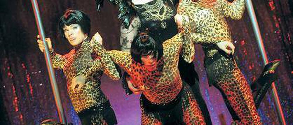 Leopardenfummel geht immer. In der Inszenierung von „La Cage aux Folles“ am Hans Otto Theater ist Peter Geiling (Mitte oben) in der schillernden Rolle von Albin/Zaza zu erleben. Aber die vier Eintänzer sind auch nicht ohne.