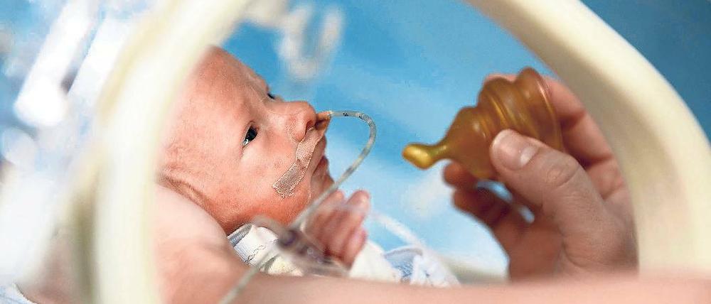 Kleinste Patienten. Rund 150 Frühgeborene werden jedes Jahr am Bergmann-Klinikum betreut. 40 bis 60 von ihnen sind so klein, dass sie bei der Geburt weniger als anderthalb Kilogramm auf die Waage bringen. Für die optimale Versorgung in den ersten Lebenstagen hat das Klinikum eine Frauenmilchbank.
