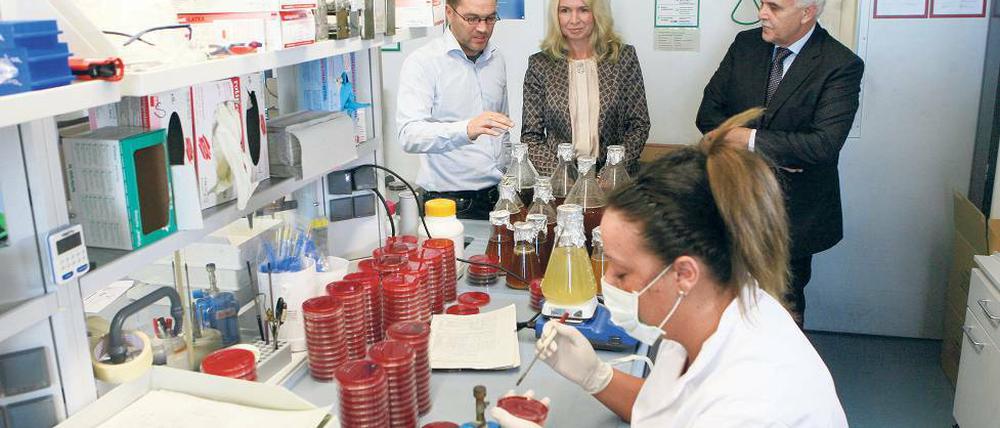 Spitzenforschung im Go:in. Das Start-up Ripac hat sich auf veterinärmedizinische Infektionsdiagnostik spezialisiert. Firmenchef Alexander Repp (hinten l.) erklärt IHK-Chefin Beate Fernengel und Standortmanager Friedrich Winskowski die Arbeit der Firma.