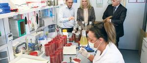 Spitzenforschung im Go:in. Das Start-up Ripac hat sich auf veterinärmedizinische Infektionsdiagnostik spezialisiert. Firmenchef Alexander Repp (hinten l.) erklärt IHK-Chefin Beate Fernengel und Standortmanager Friedrich Winskowski die Arbeit der Firma.