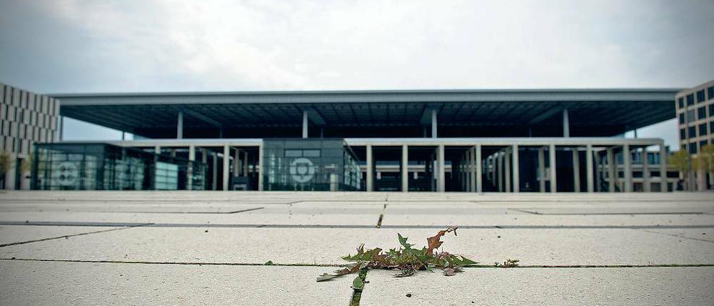 Zumindest auf das Unkraut ist Verlass. Das wächst fleißig aus den Fugen des Bodenbelages auf dem Flughafengelände BER in Schönefeld.