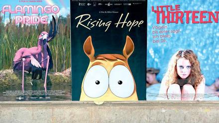 Top oder Flop? Ob ein Film beim Kinopublikum ankommt, hängt von vielen Faktoren ab. An der Babelsberger Filmuniversität – hier Plakate von drei dort entstandenen Streifen – diskutieren Wissenschaftler und Filmemacher bei einer Konferenz über die Bedeutung der Drehbücher.
