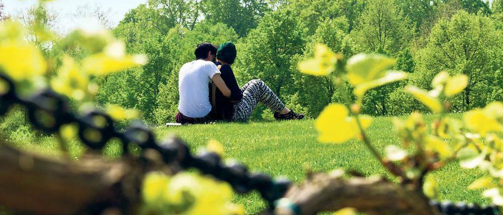Punkte für die Parks. Neun von zehn Potsdamern leben gern in der Stadt.