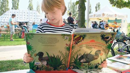 Jede Menge Inspiration. Das Bücherpicknick verlockte nicht nur zum Zuhören: An den Ständen der Stadt- und Landesbibliothek sowie der Stiftungsbuchhandlung konnten die Bücher auch gleich begutachtet oder erworben werden. Bastelstände luden außerdem zum kreativen Schreiben und zum Malen ein.