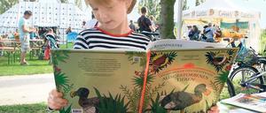Jede Menge Inspiration. Das Bücherpicknick verlockte nicht nur zum Zuhören: An den Ständen der Stadt- und Landesbibliothek sowie der Stiftungsbuchhandlung konnten die Bücher auch gleich begutachtet oder erworben werden. Bastelstände luden außerdem zum kreativen Schreiben und zum Malen ein.