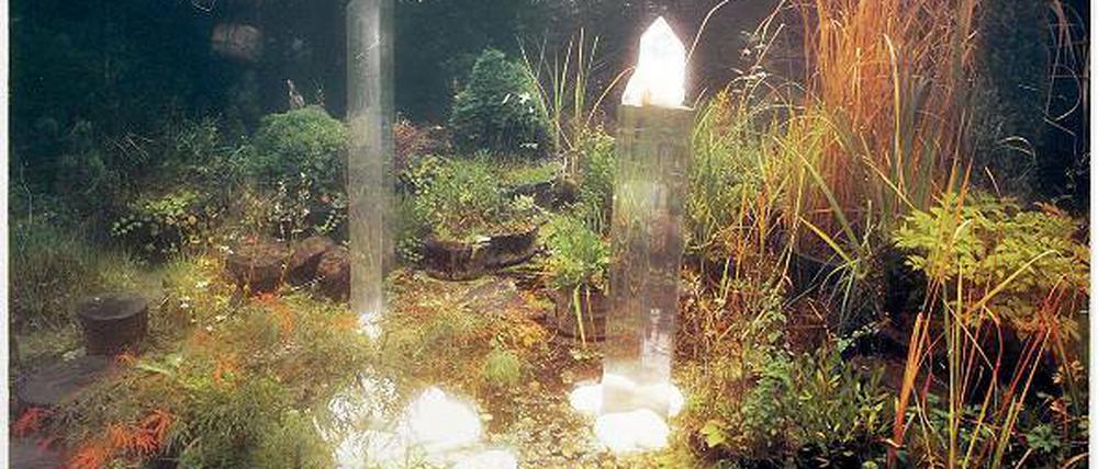 Der Natur den Spiegel vorhalten. Mary Bauermeisters Kristall-Skulpturen.