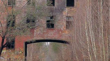 Dem Verfall preisgegeben. Seit 1994 werden die historischen Gebäude auf dem ehemaligen Kasernengelände nicht mehr genutzt. Die Stadt will sie denkmalgerecht sanieren lassen und Wohnungen unterbringen. Doch die Besitzverhältnisse sind noch ungeklärt.