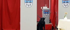 Lockt keinen Hund hinter dem Ofen hervor: Die Landtagswahl in Brandenburg.