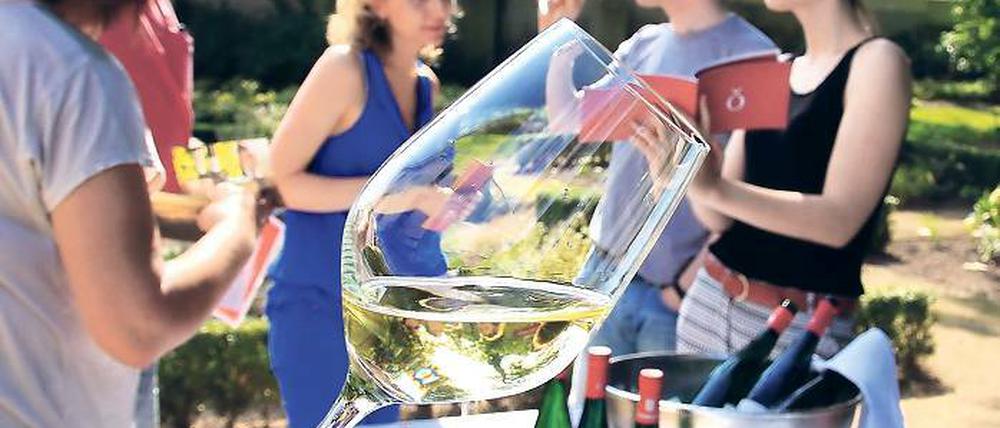 Mineralisch. Jauchs Riesling wächst auf Blauem und Rotem Schiefer.