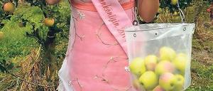 Gute Miene zum bösen Spiel. Baumblütenkönigin Franziska Barche beißt in Schmergow bei Groß Kreutz zum Start der Kernobsternte in einen Apfel der Sorte Pirella.