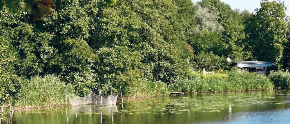 Idylle am Schwielowsee. Rund um den 54 Hektar großen See verläuft ein Uferweg, an dem sich viele Stellen finden, um Ruderboote festzumachen. Auch inoffizielle Badestellen gibt es, verboten ist das Planschen dort nicht.