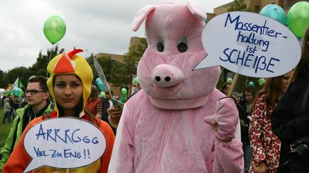 Kreativer Protest in Potsdam.