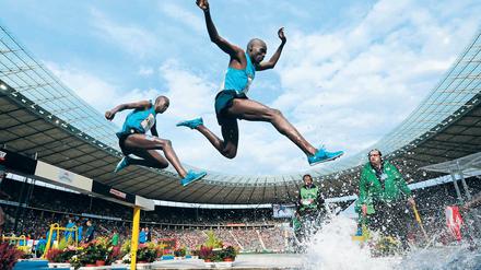 Über die erste Hürde. Ein Olympiastadion hat Berlin schon mal – hier fand am Sonntag wieder einmal das Internationale Stadionfest der Leichtathleten statt.