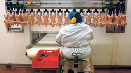 Unverzichtbar oder überflüssig? Seit Langem wird um die industrielle Tierhaltung und -verarbeitung gestritten. In Brandenburg haben Megaställe seit geraumer Zeit Konjunktur.