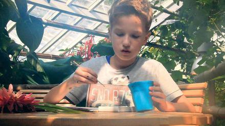 Erst entdecken, dann malen. Der elfjährige Moritz beim Malworkshop im Aquarienhaus im Botanischen Garten.